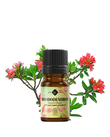 Ingrediente  - Ulei esențial de Rhododendron Bio (Ambalaj: 5 ml)