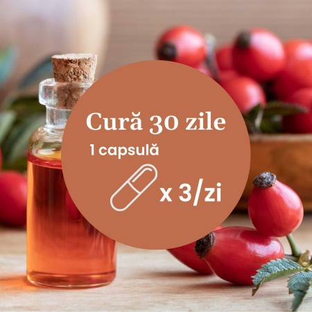 Vitamina C lipozomală - 90 capsule [8]