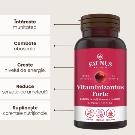 Vitaminizantus Forte - 90 capsule [5]