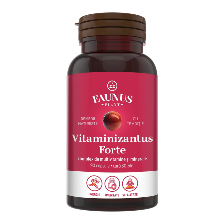 Vitaminizantus Forte - 90 capsule [1]