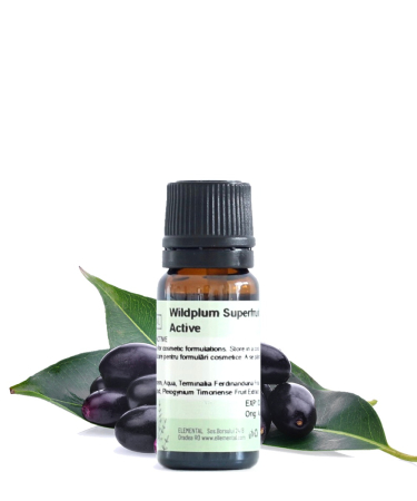  Active cosmetice - Wildplum Superfruit Active (Ambalaj: 250 g)