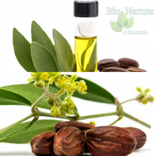 ULEI DE JOJOBA [2]
