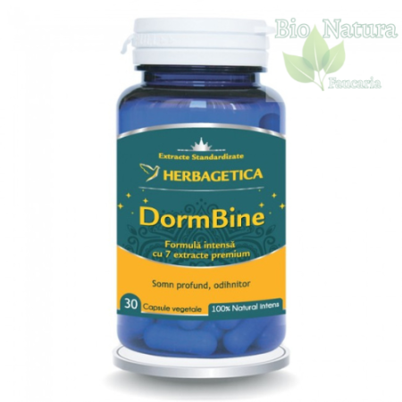 Sistem nervos - DORMBINE