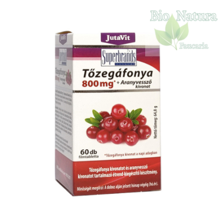 Sistem urinar - EXTRACT DE MERIŞOR ŞI SPLINUŢĂ