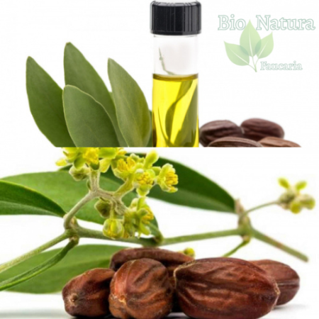 ULEI DE JOJOBA [1]