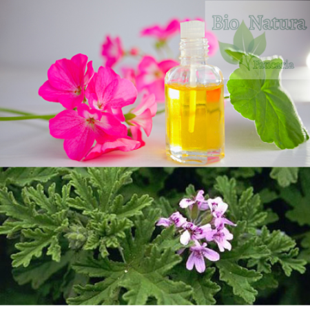 ULEI ESENŢIAL DE GERANIUM [1]