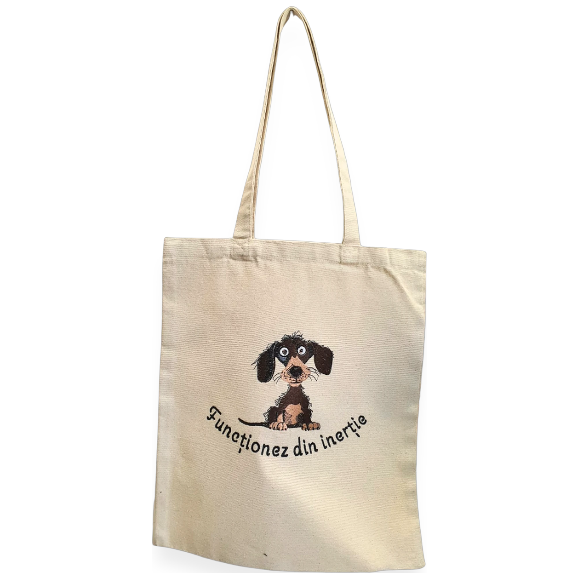 Broderie: Plase și sacoșe - Totebag „Funcționez din inerție”