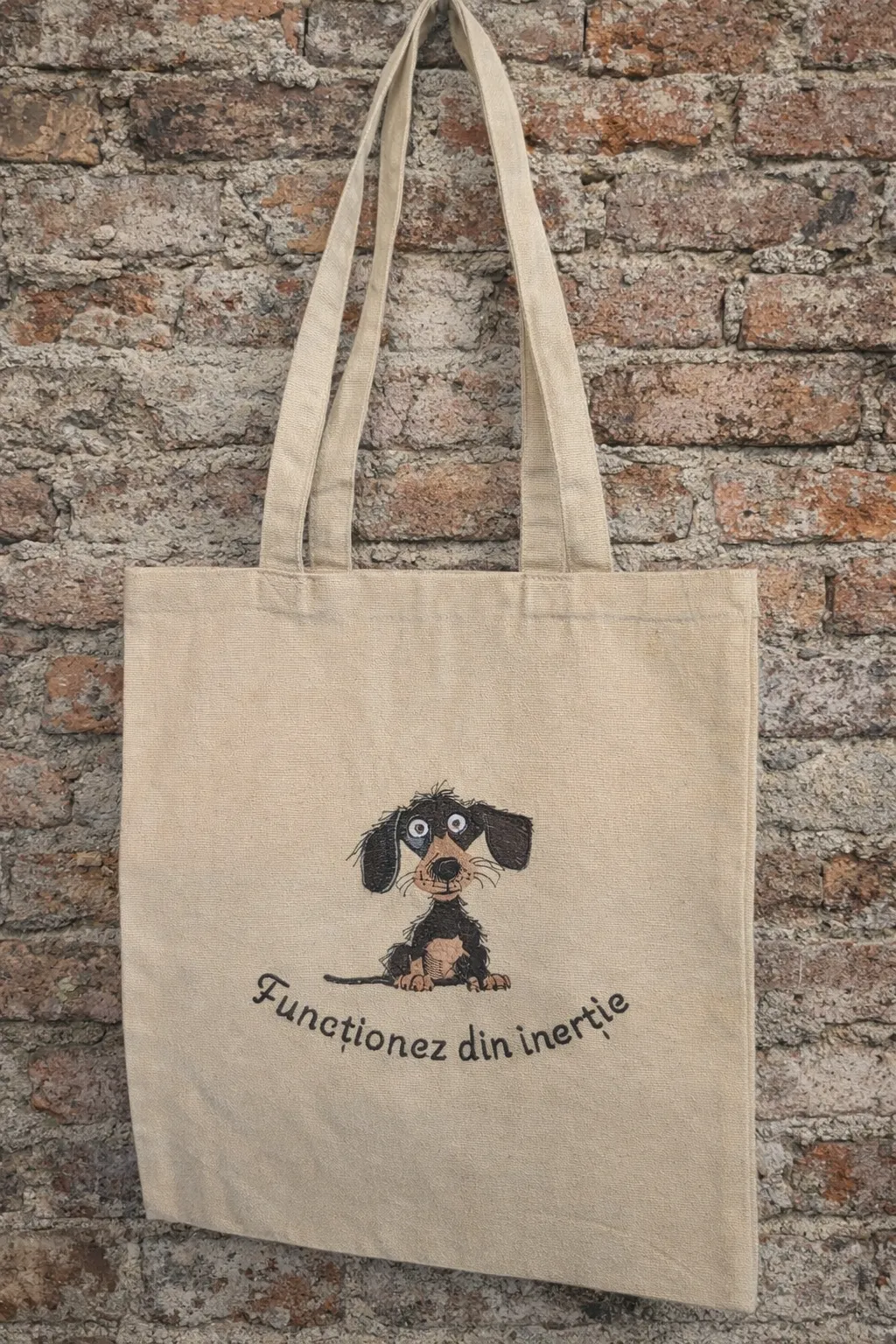 Accesorii & Lifestyle - Totebag „Funcționez din inerție”