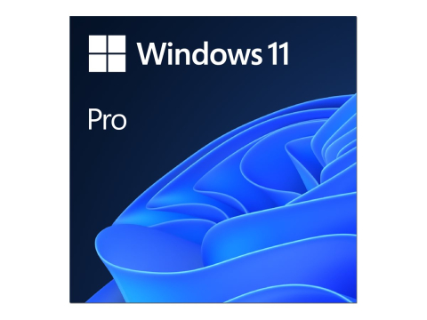 Software si Clound - Windows 11 Pro ESD – 64‑bit, All Languages, Product Key Online (FQC‑10572)