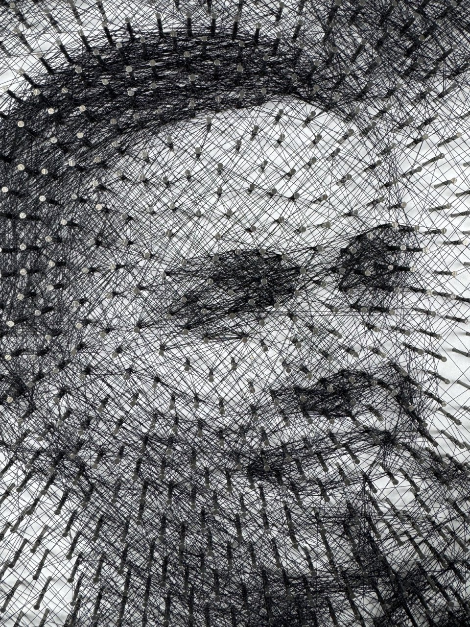 DAVID POPOVICI STRING ART [2]