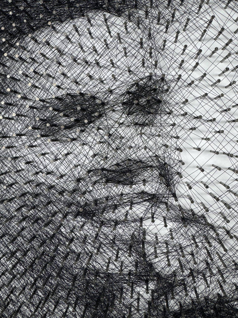 DAVID POPOVICI STRING ART [5]