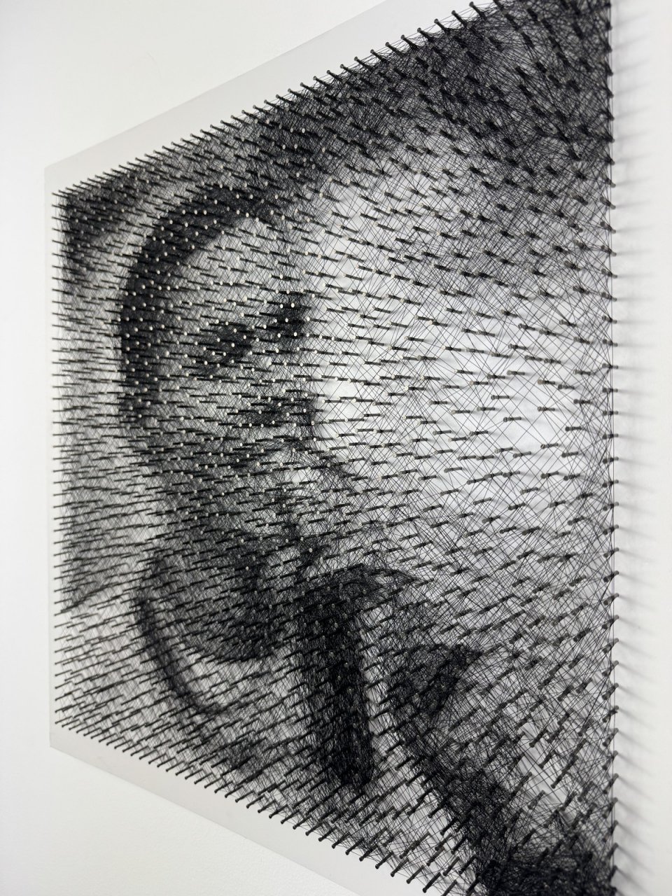 DAVID POPOVICI STRING ART [4]