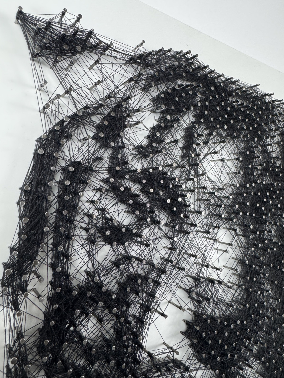 Tiger String Art [3]