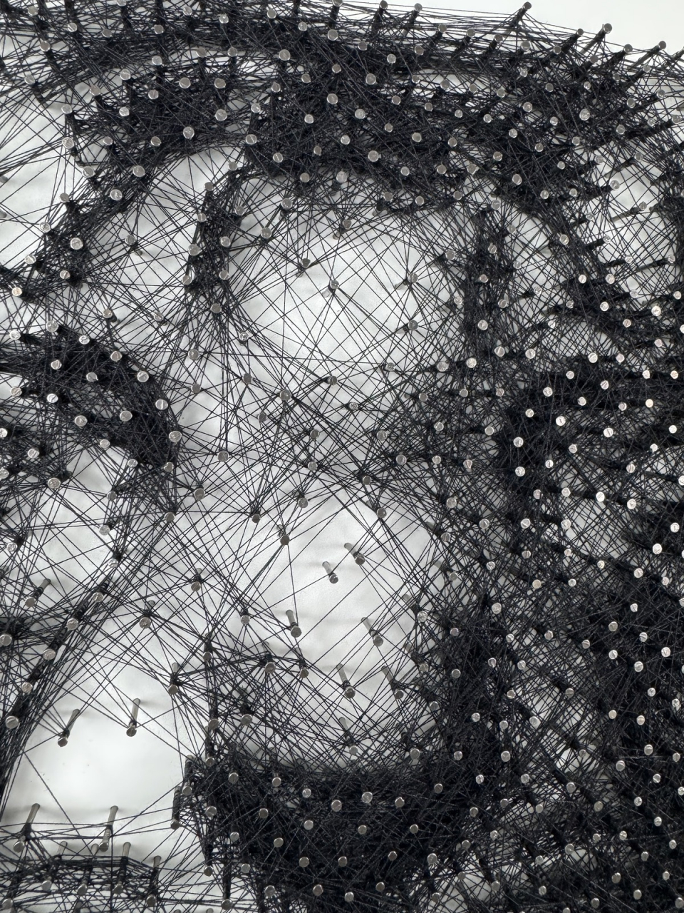 Tiger String Art [4]