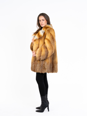 Haină vulpe canadiană [1]