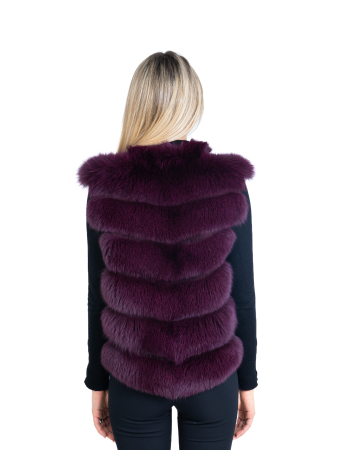 Vesta vulpe polară Plum [1]