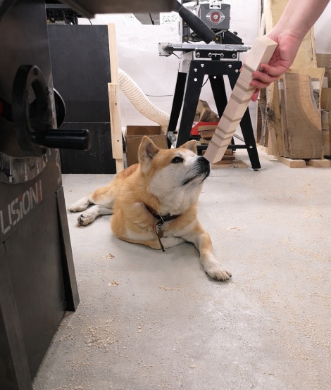 Colegul nostru: Koba