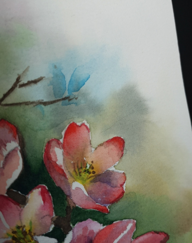 pictura-acuarela-originala-cherry-blossom-18x26 [2]