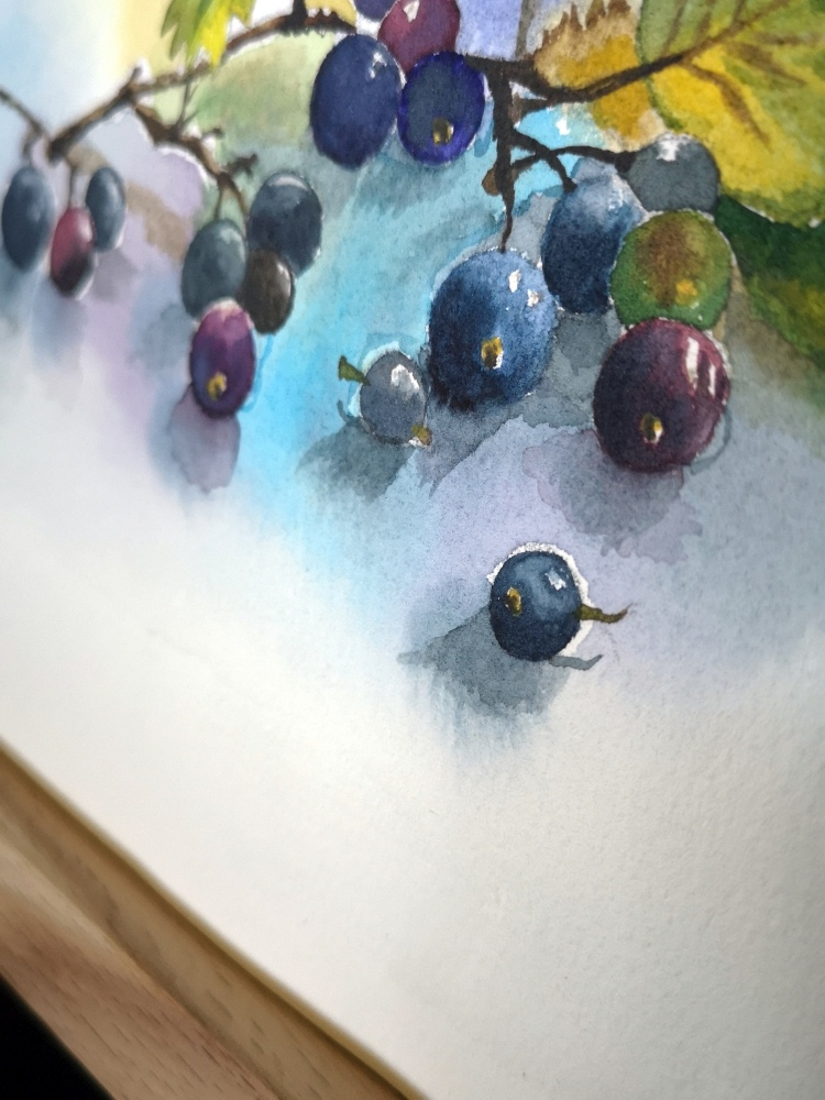 pictura-acuarela-originala-berries-26x18 [2]