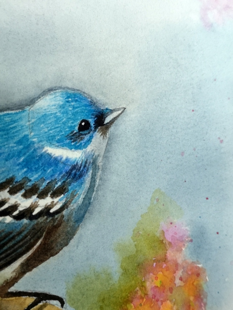 pictura-acuarela-originala-blue-bird-18x26 [2]
