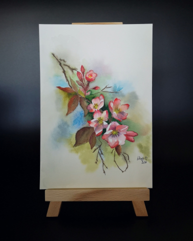 [waterworks] - pictura-acuarela-originala-cherry-blossom-18x26