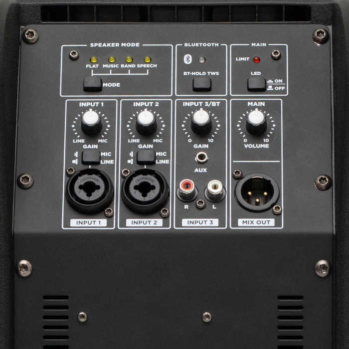 Sistem Audio Profesional cu Performanță Ridicată - PAS8W42S [4]
