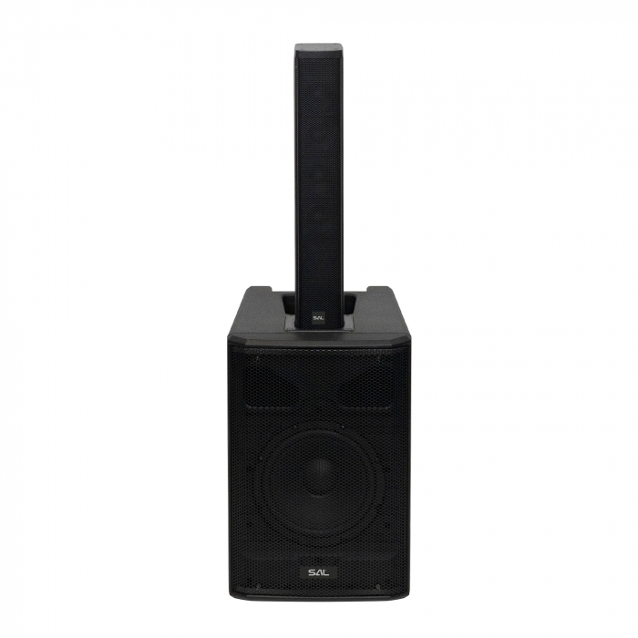 Sistem Audio Profesional cu Performanță Ridicată - PAS8W42S [2]