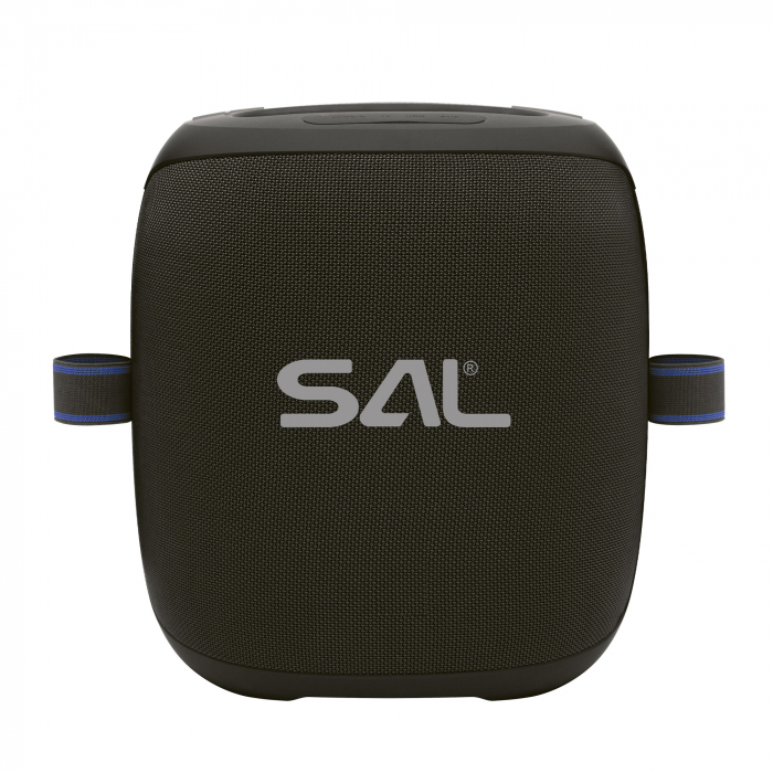 Boxă portabilă PARCUBE cu 2 microfoane wireless | Sunet puternic, spectacol complet oriunde [4]