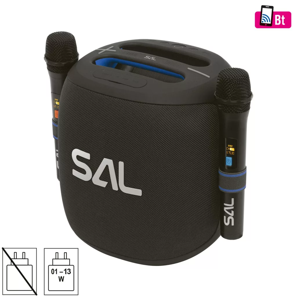 Boxă portabilă PARCUBE cu 2 microfoane wireless | Sunet puternic, spectacol complet oriunde [1]