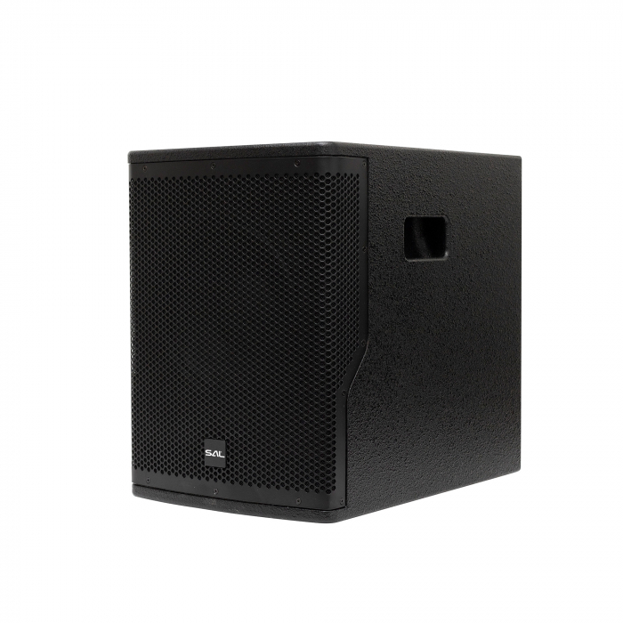 Sistem Audio Profesional cu Woofer de 25 cm - PAS10W43S [3]