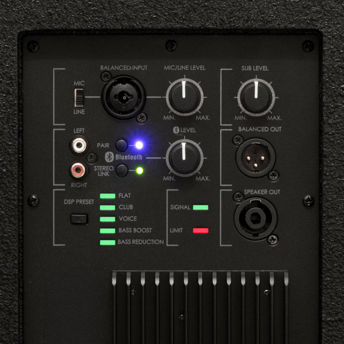 Sistem Audio Profesional cu Woofer de 25 cm - PAS10W43S [4]