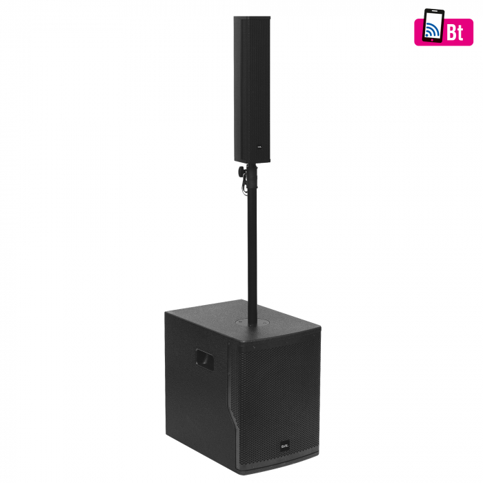 Sistem Audio Profesional cu Woofer de 25 cm - PAS10W43S [1]