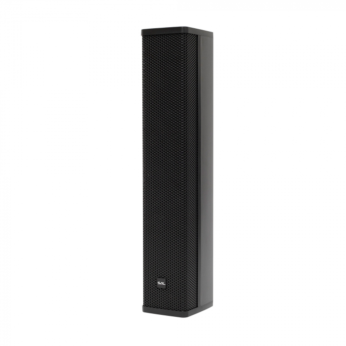 Sistem Audio Profesional cu Woofer de 25 cm - PAS10W43S [5]