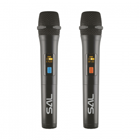 Boxă portabilă PARCUBE 100W cu 2 microfoane wireless și efecte LED [1]