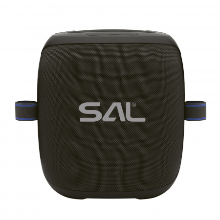 Boxă portabilă PARCUBE 100W cu 2 microfoane wireless și efecte LED [3]