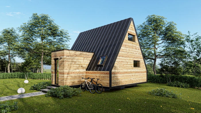 Casa de vacanta A-Frame, FAMILY A - 53 mp [4]