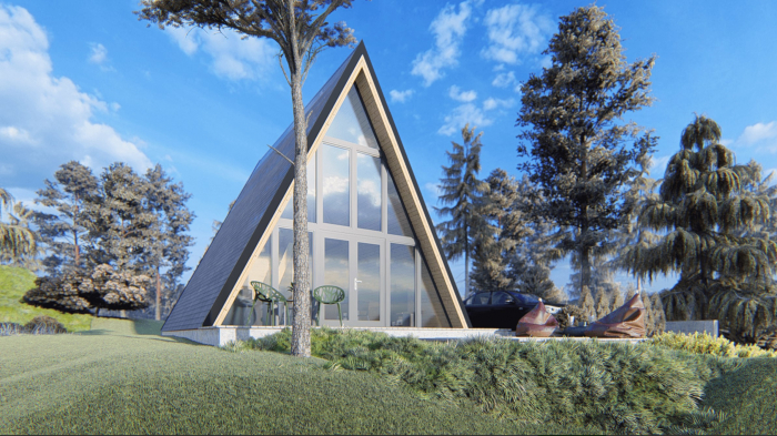 Casa izolata din lemn tip A Frame 40 m² [2]