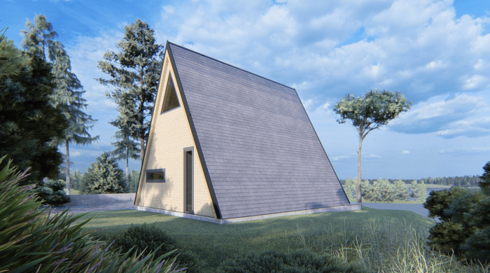 Casa izolata din lemn tip A Frame 40 m² [4]
