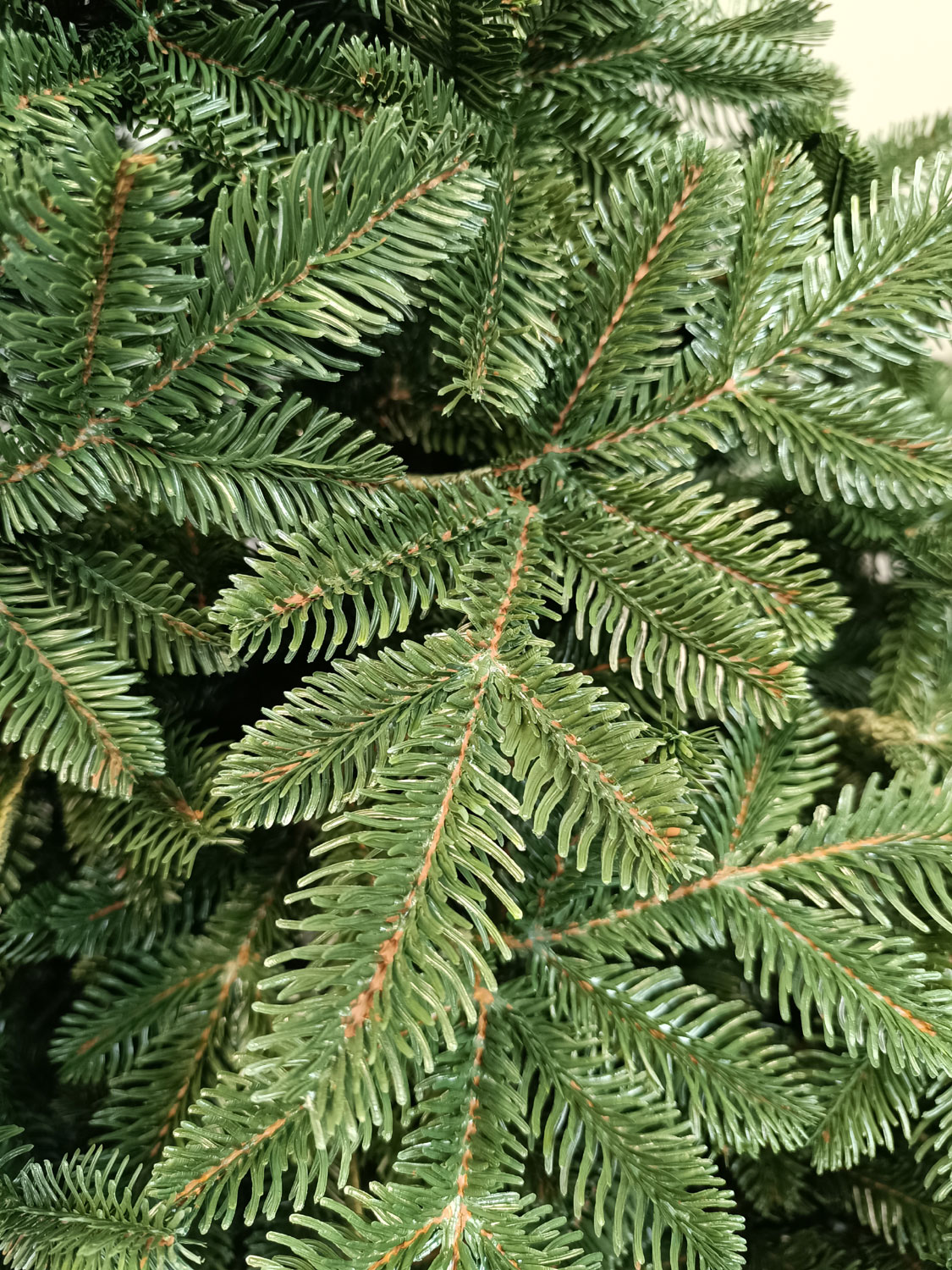 Brad artificial Christmas Deluxe by Sersimo, Canada verde, 3D, 230cm [11]