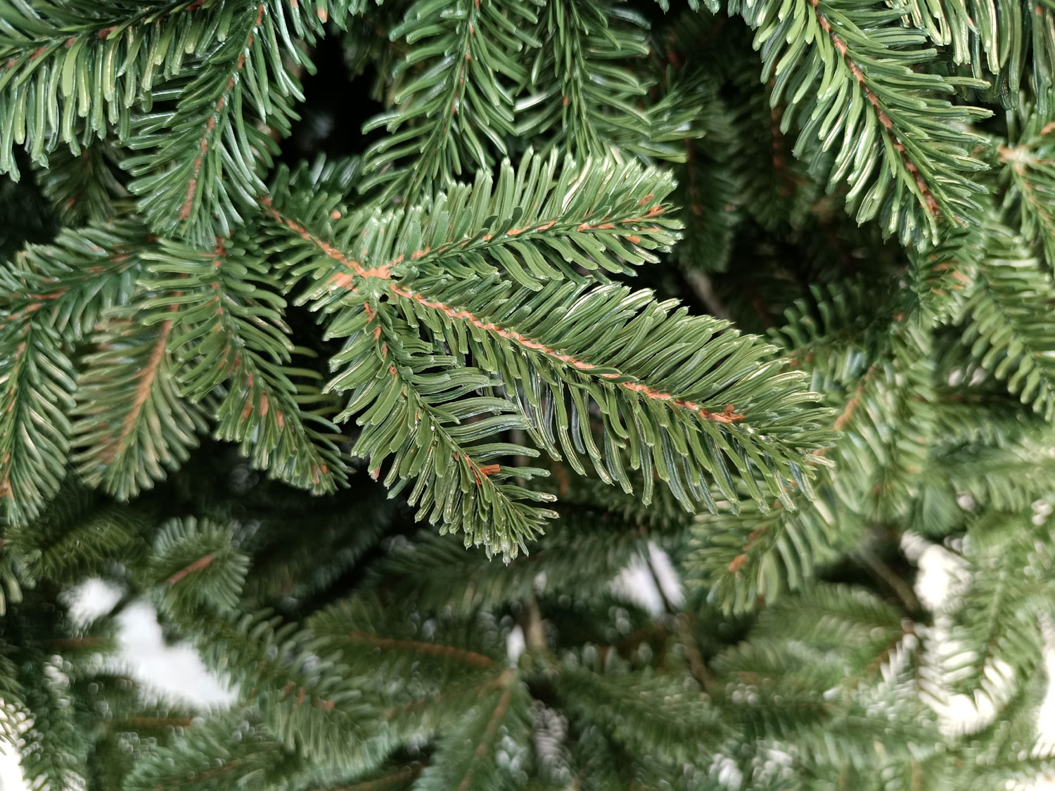 Brad artificial Christmas Deluxe by Sersimo, Canada verde, 3D, 210cm [6]