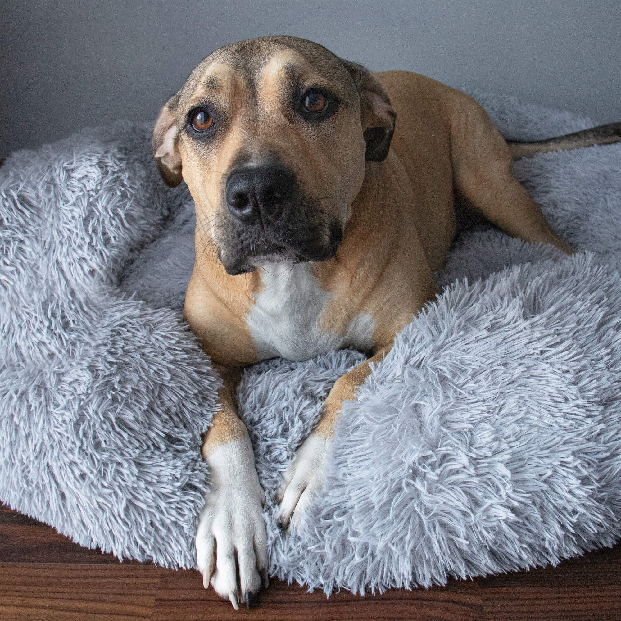 Pat Sersimo pentru caini si pisici, cu husa detasabila, gri, diametru 120cm [12]