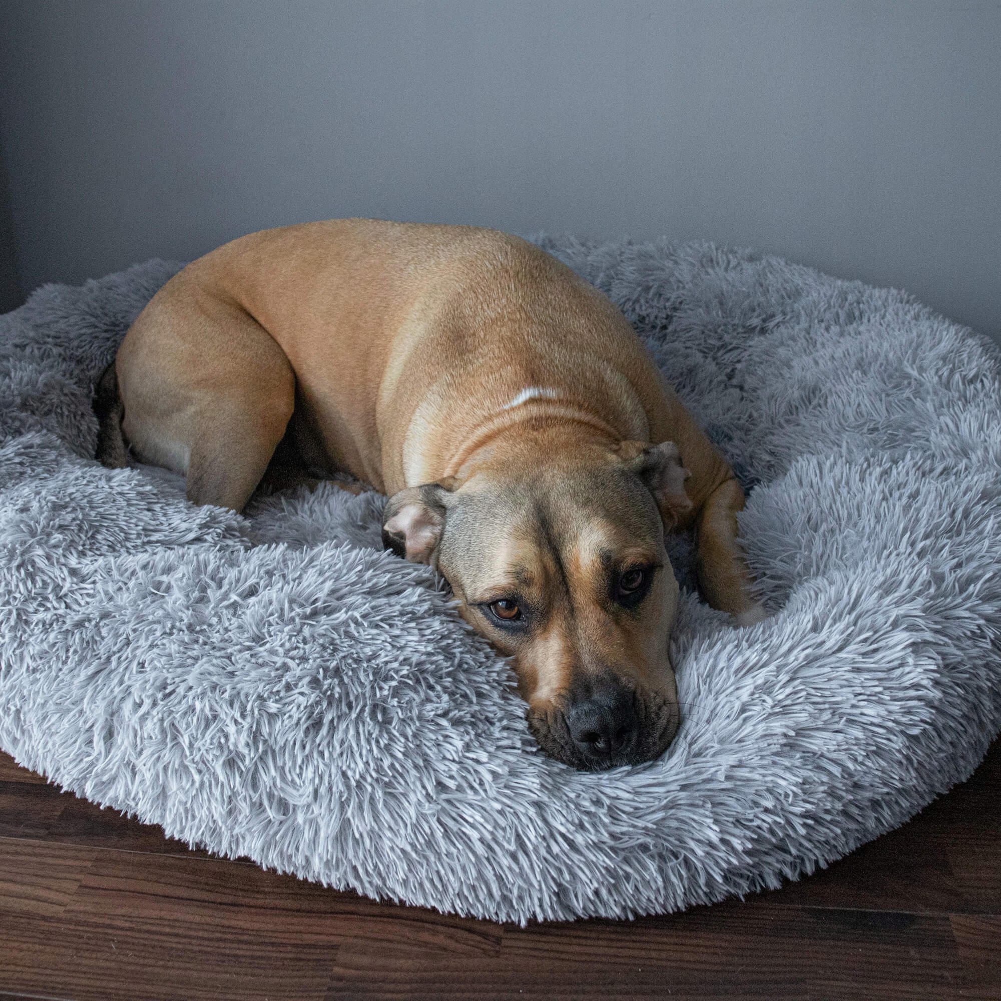 Pat Sersimo pentru caini si pisici, cu husa detasabila, gri, diametru 120cm [14]