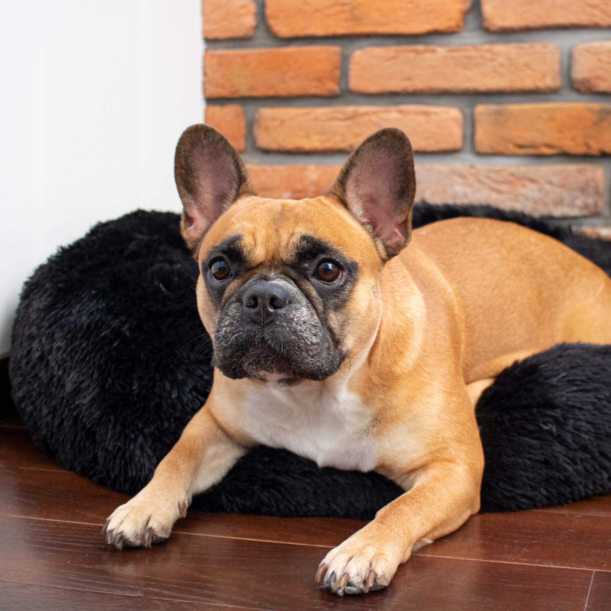 Pat Sersimo pentru caini si pisici, cu husa detasabila, negru, 40cm [6]