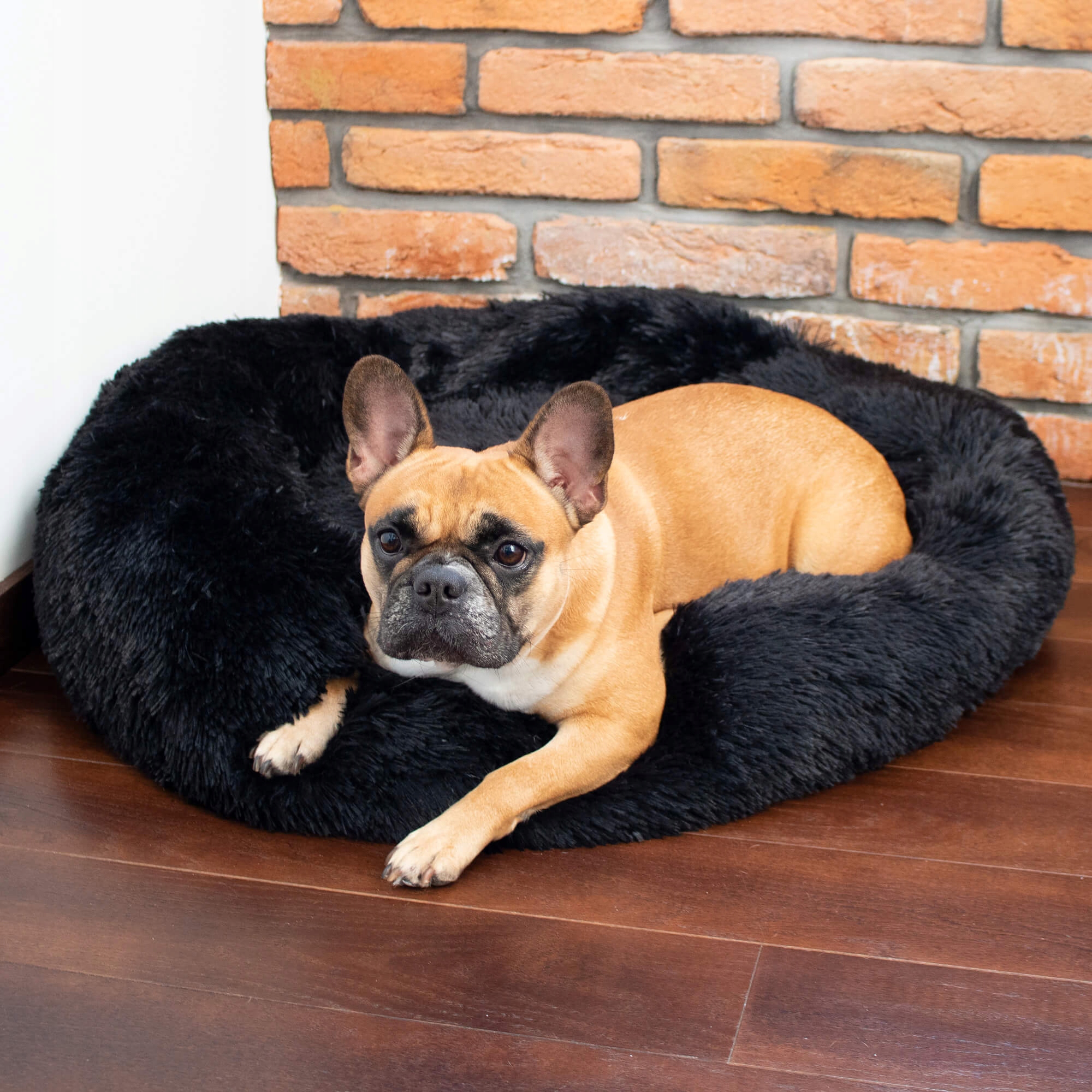 Pat Sersimo pentru caini si pisici, cu husa detasabila, negru, 40cm [8]