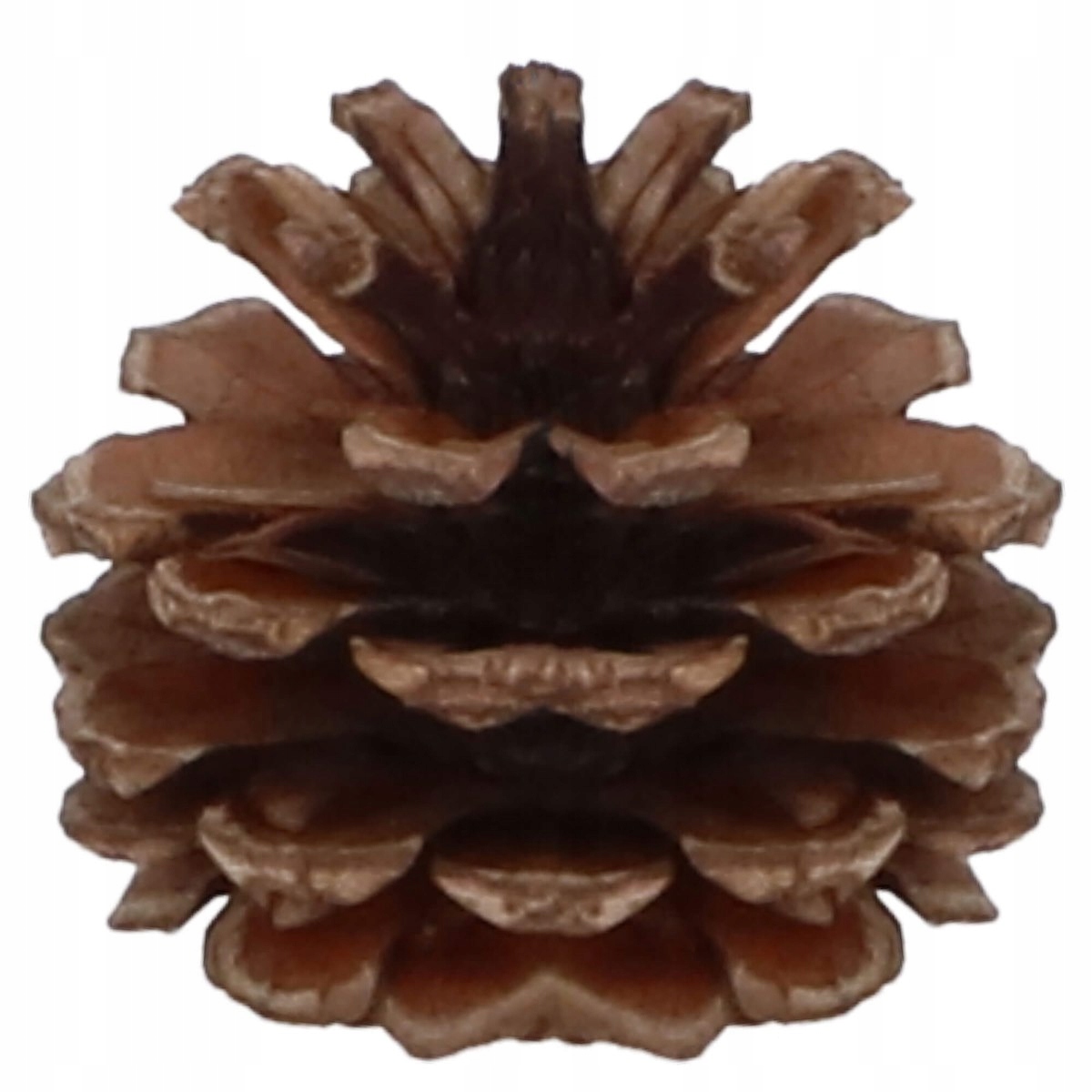 Set globuri si decoratiuni de Craciun, 101 piese, diverse dimensiuni, roz auriu [5]