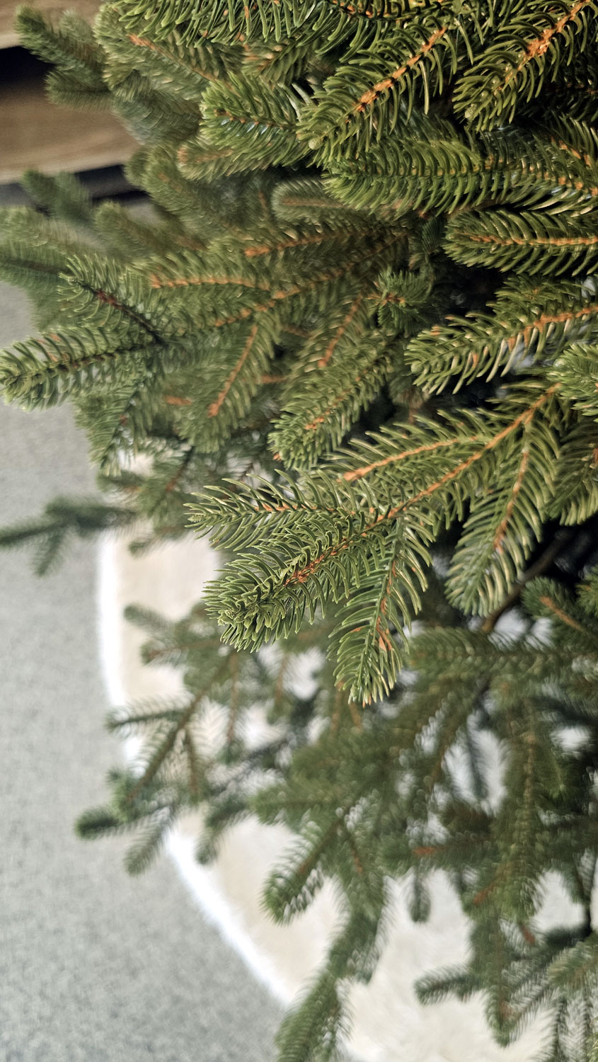 Brad artificial Christmas Deluxe by Sersimo, Viena verde, 3D, 250cm [9]