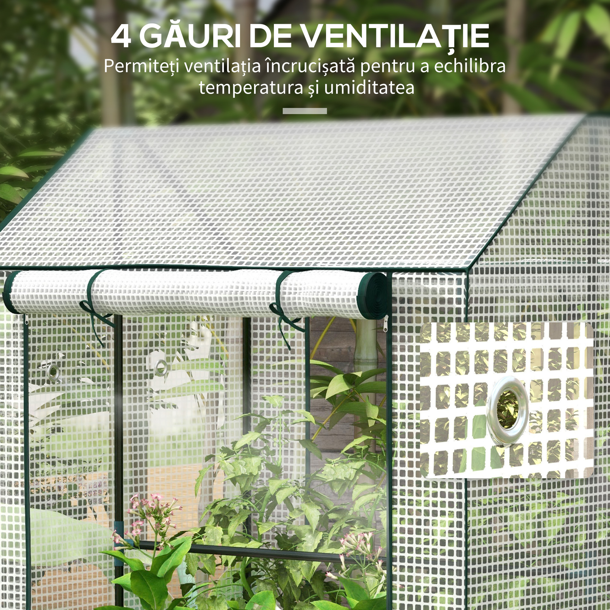  Sera Cu 2 Camere Pentru Gradina Cu 2 Usi [5]