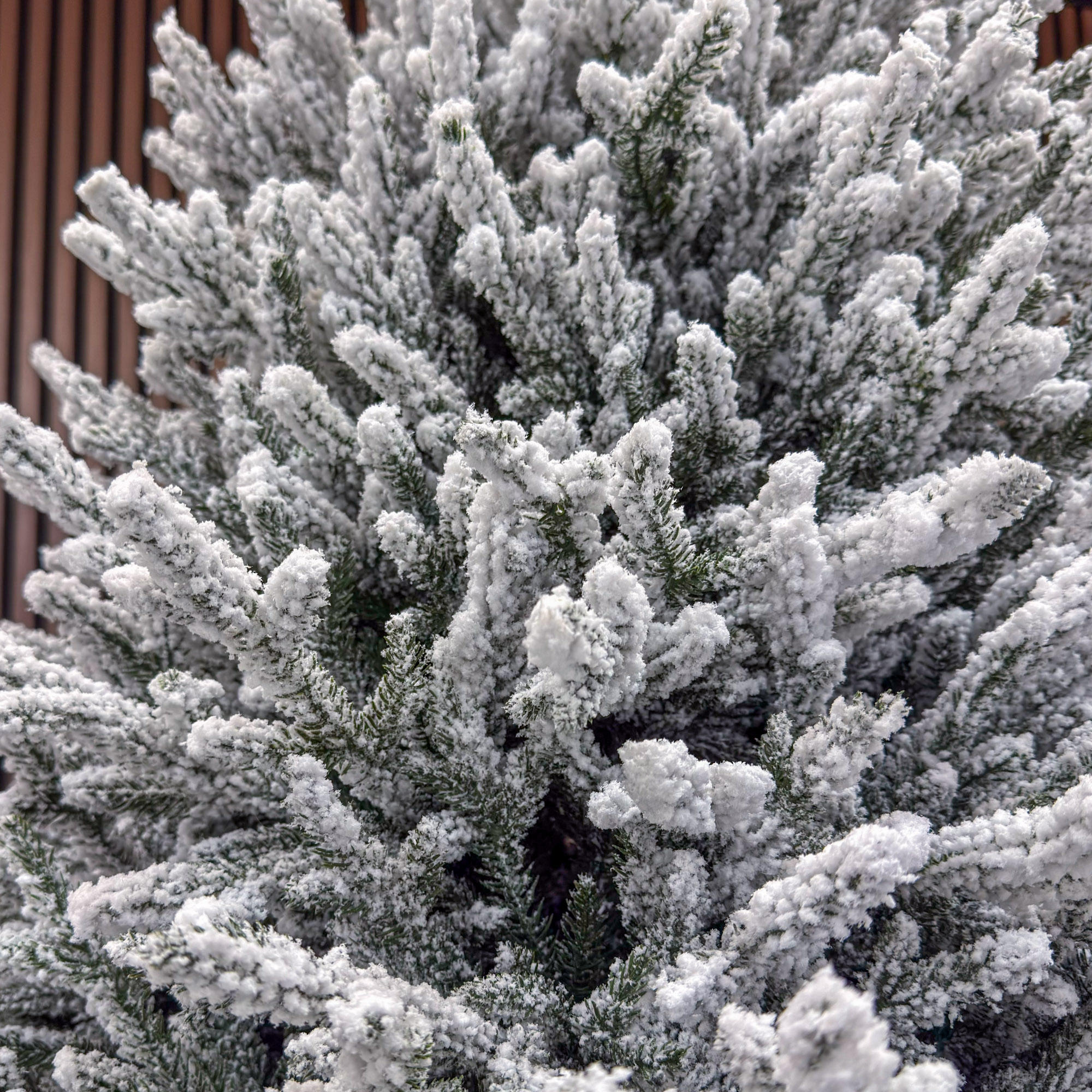 Brad artificial Sersimo, Alesea Elite, nins, integral 3D, 200 cm [17]