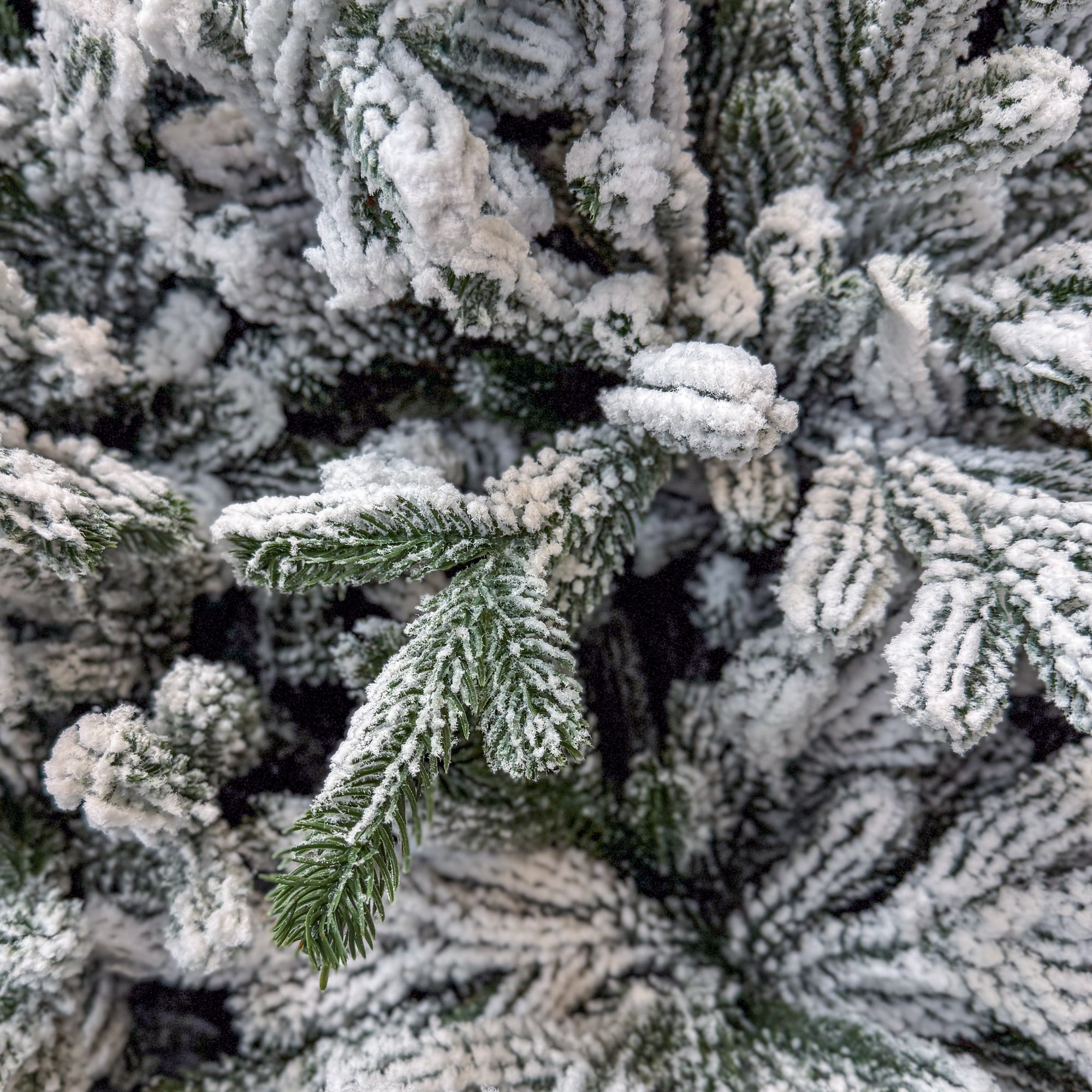 Brad artificial Sersimo, Alessandra Elite, nins, mix 2D+3D, 200 cm [6]