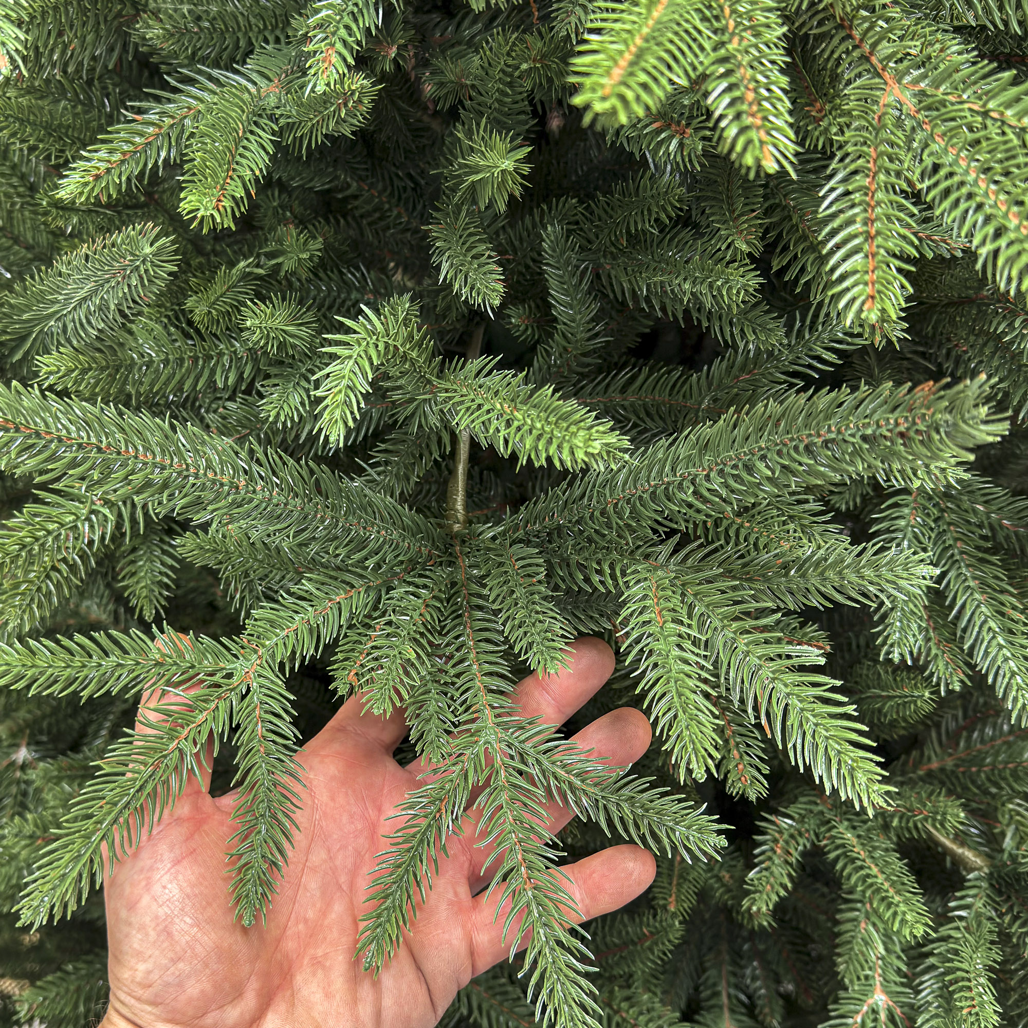 Brad artificial Christmas Deluxe by Sersimo, Alpine, verde, integral 3D, 230 cm [9]